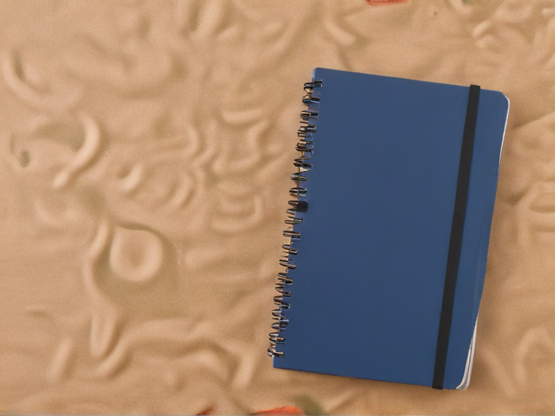 france notebook